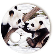 Panda 2