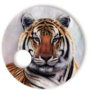 Tigre 1