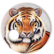 Tigre 5